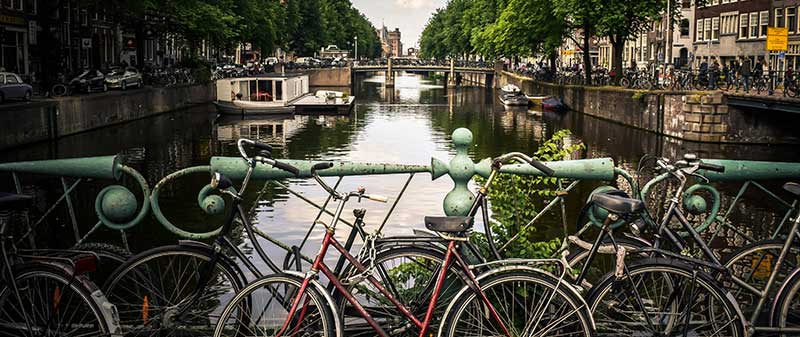 Hollanda'da Üniversite Eğitimi